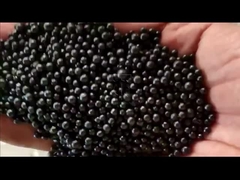 Produktionslinie für organische Düngemittel