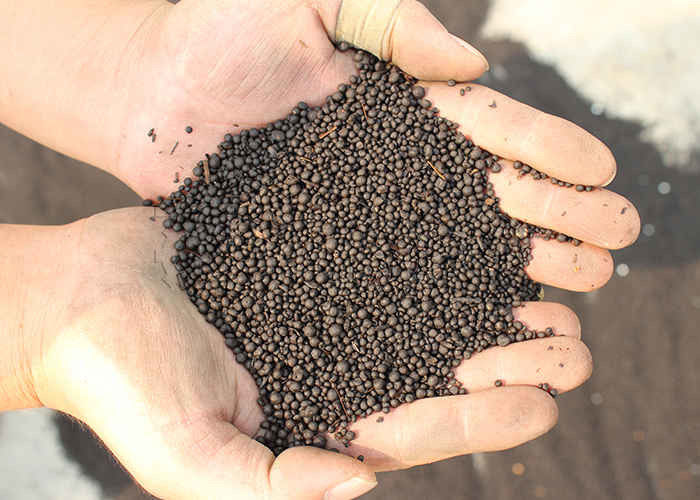 Produktionslinie für Maschinen zur Herstellung von grünen Düngemittelpellets