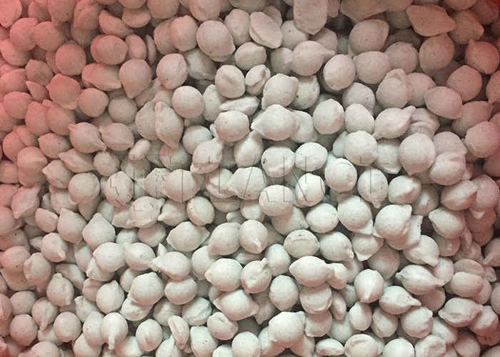 Produktionslinie für organische Düngemittel Produktionslinie für biologische Düngemittel Rollergranulator
